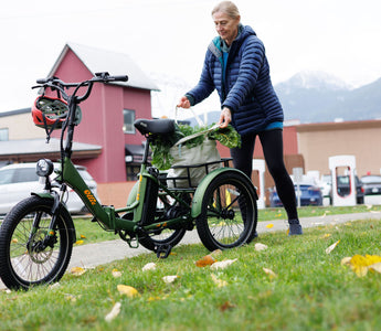 Electric Bike-Friendly Destinations and Routes in Canada and the USA