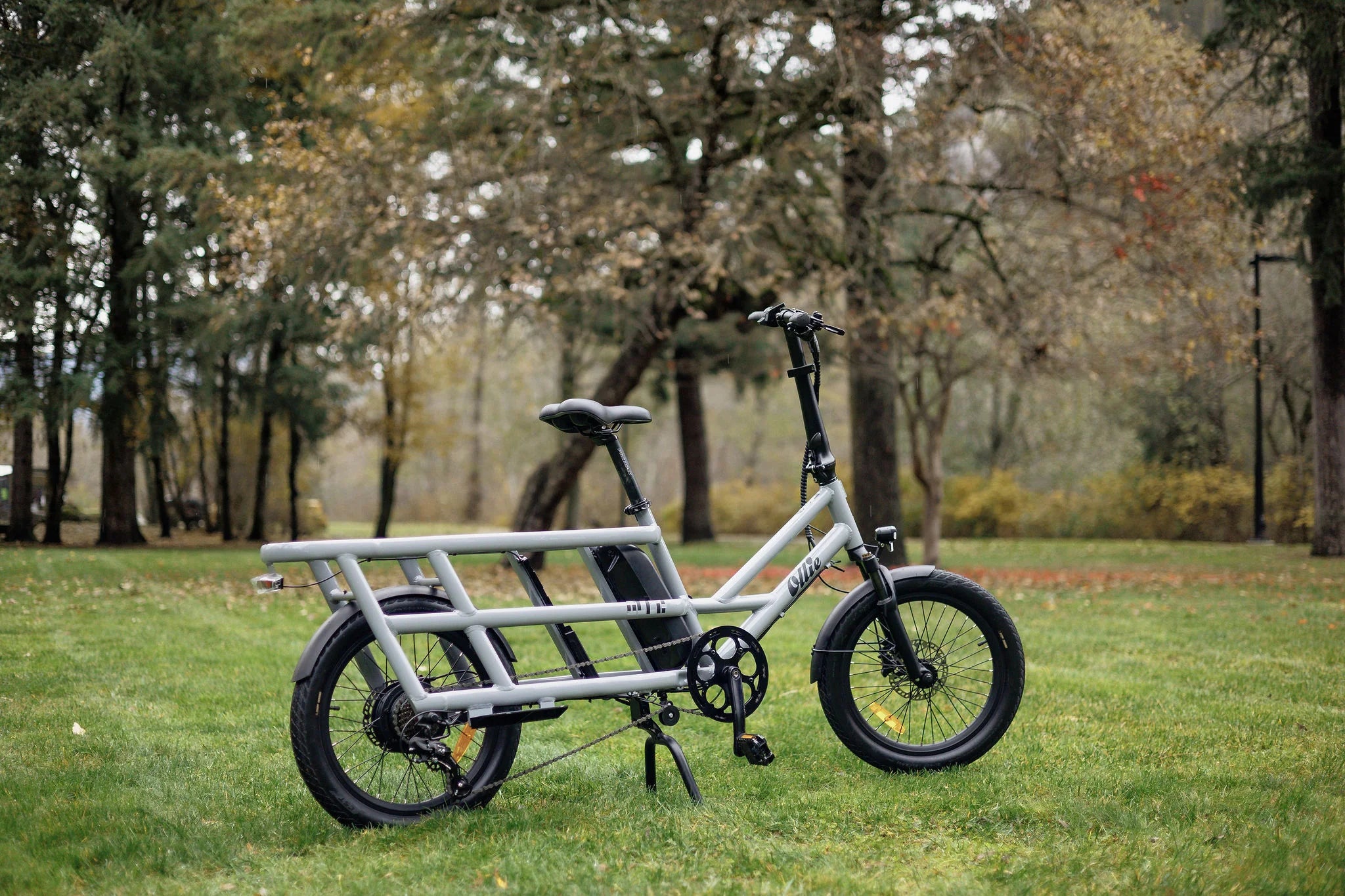 Ollie Bikes Longtail from the side in a park