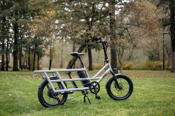 Ollie Bikes Longtail from the side in a park